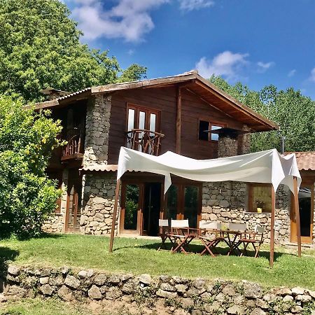 Quinta Dos Carvalhos The Wine House Farm In Center Of Lamego - Capital Of The Douro Villa ภายนอก รูปภาพ