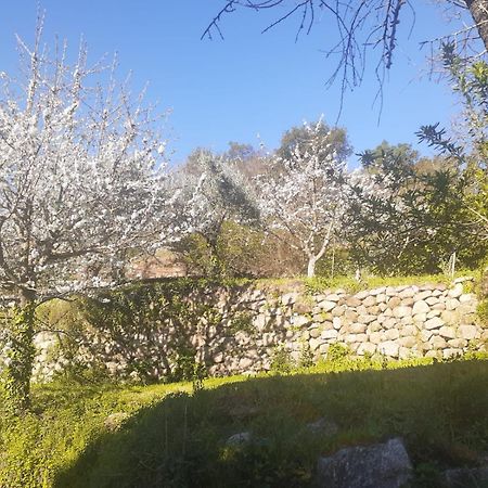 Quinta Dos Carvalhos The Wine House Farm In Center Of Lamego - Capital Of The Douro Villa ภายนอก รูปภาพ