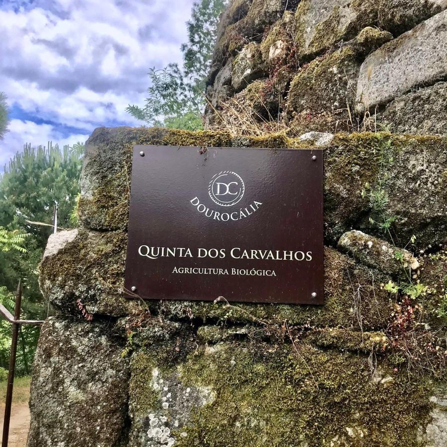Quinta Dos Carvalhos The Wine House Farm In Center Of Lamego - Capital Of The Douro Villa ภายนอก รูปภาพ
