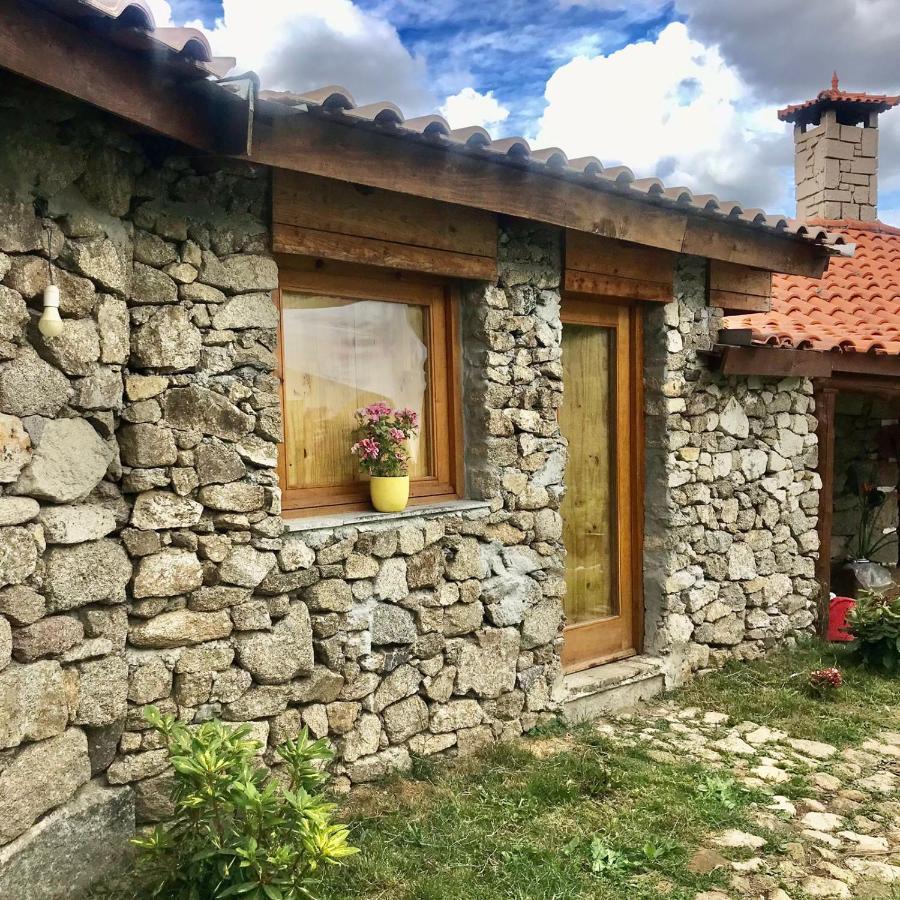 Quinta Dos Carvalhos The Wine House Farm In Center Of Lamego - Capital Of The Douro Villa ภายนอก รูปภาพ