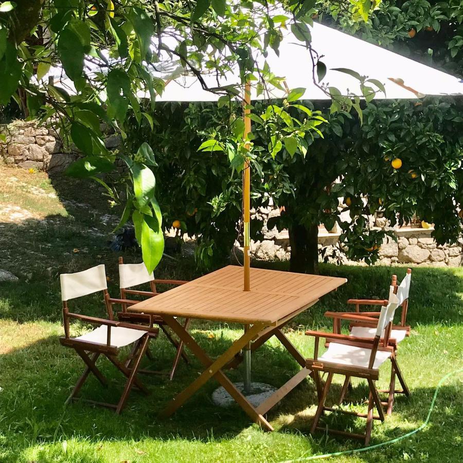 Quinta Dos Carvalhos The Wine House Farm In Center Of Lamego - Capital Of The Douro Villa ภายนอก รูปภาพ