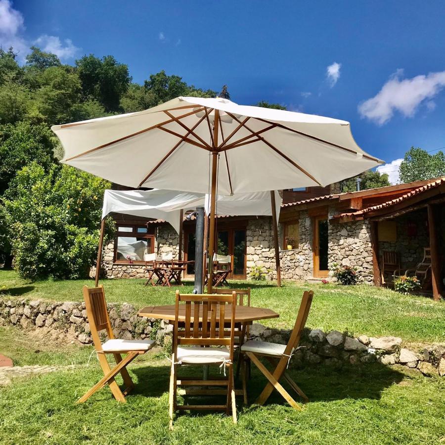 Quinta Dos Carvalhos The Wine House Farm In Center Of Lamego - Capital Of The Douro Villa ภายนอก รูปภาพ