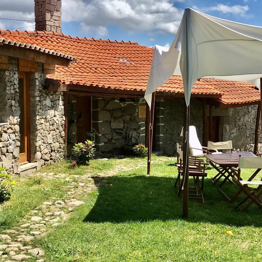 Quinta Dos Carvalhos The Wine House Farm In Center Of Lamego - Capital Of The Douro Villa ภายนอก รูปภาพ