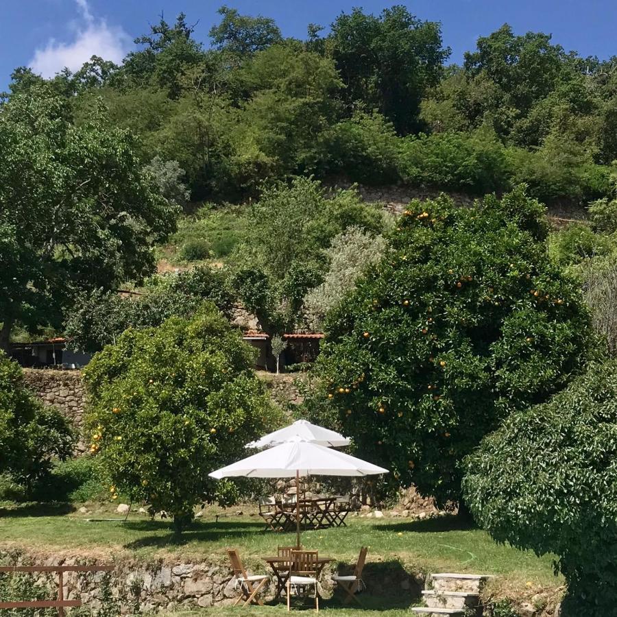 Quinta Dos Carvalhos The Wine House Farm In Center Of Lamego - Capital Of The Douro Villa ภายนอก รูปภาพ