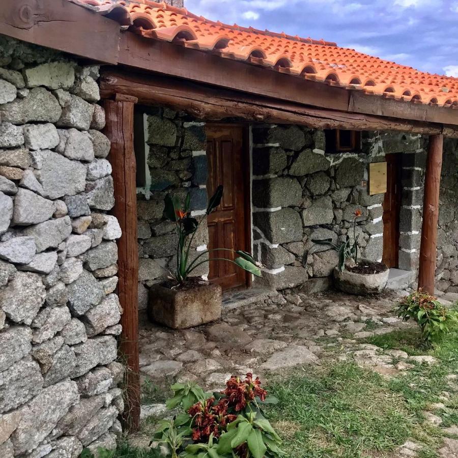 Quinta Dos Carvalhos The Wine House Farm In Center Of Lamego - Capital Of The Douro Villa ภายนอก รูปภาพ