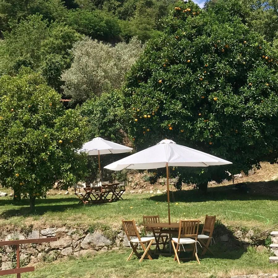 Quinta Dos Carvalhos The Wine House Farm In Center Of Lamego - Capital Of The Douro Villa ภายนอก รูปภาพ