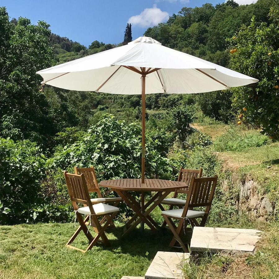 Quinta Dos Carvalhos The Wine House Farm In Center Of Lamego - Capital Of The Douro Villa ภายนอก รูปภาพ