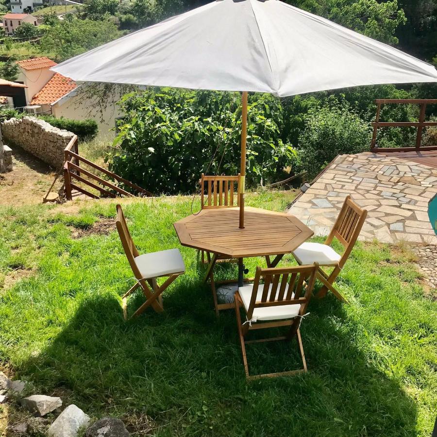 Quinta Dos Carvalhos The Wine House Farm In Center Of Lamego - Capital Of The Douro Villa ภายนอก รูปภาพ