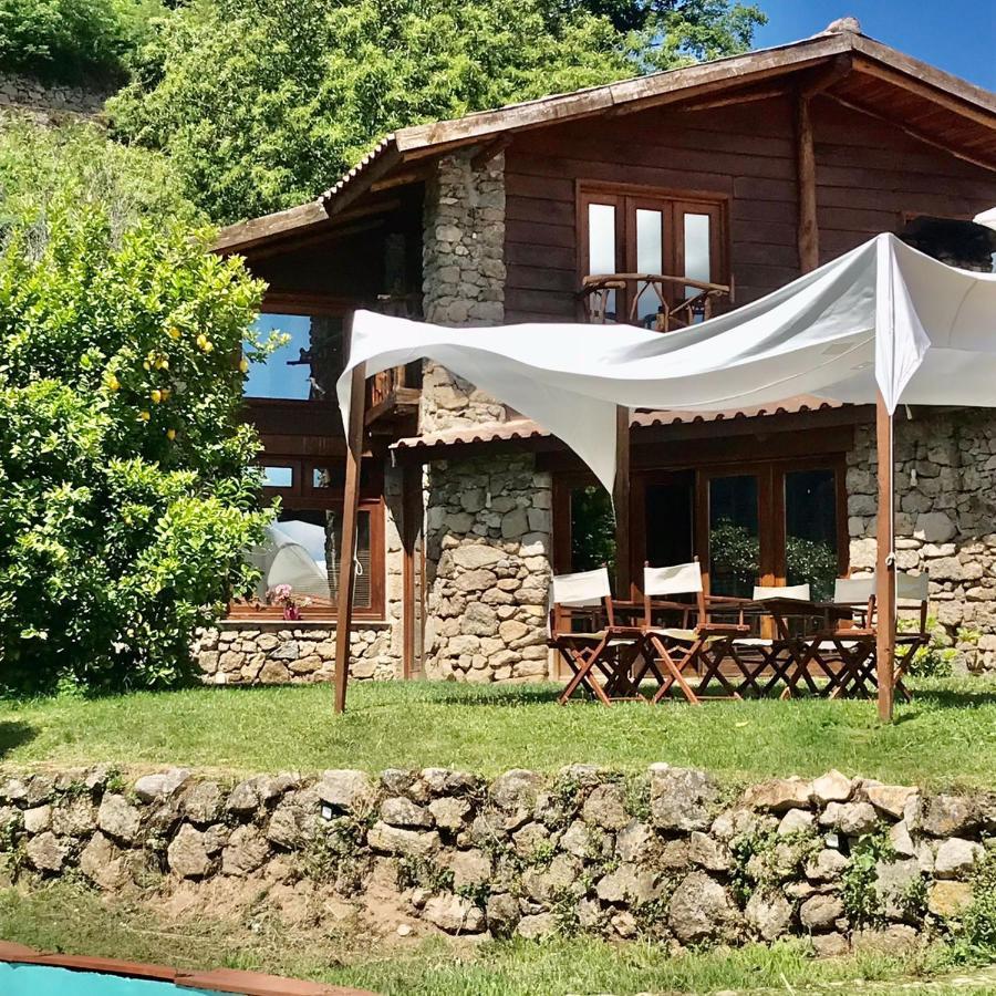Quinta Dos Carvalhos The Wine House Farm In Center Of Lamego - Capital Of The Douro Villa ภายนอก รูปภาพ