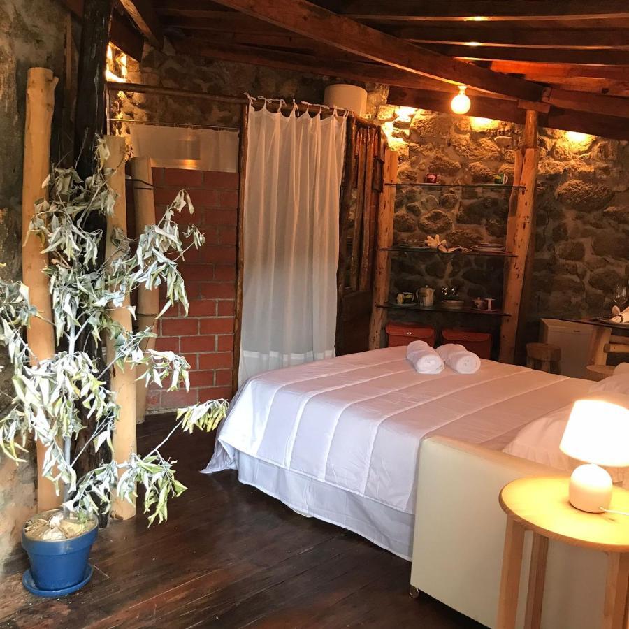 Quinta Dos Carvalhos The Wine House Farm In Center Of Lamego - Capital Of The Douro Villa ภายนอก รูปภาพ