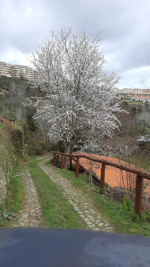 Quinta Dos Carvalhos The Wine House Farm In Center Of Lamego - Capital Of The Douro Villa ภายนอก รูปภาพ