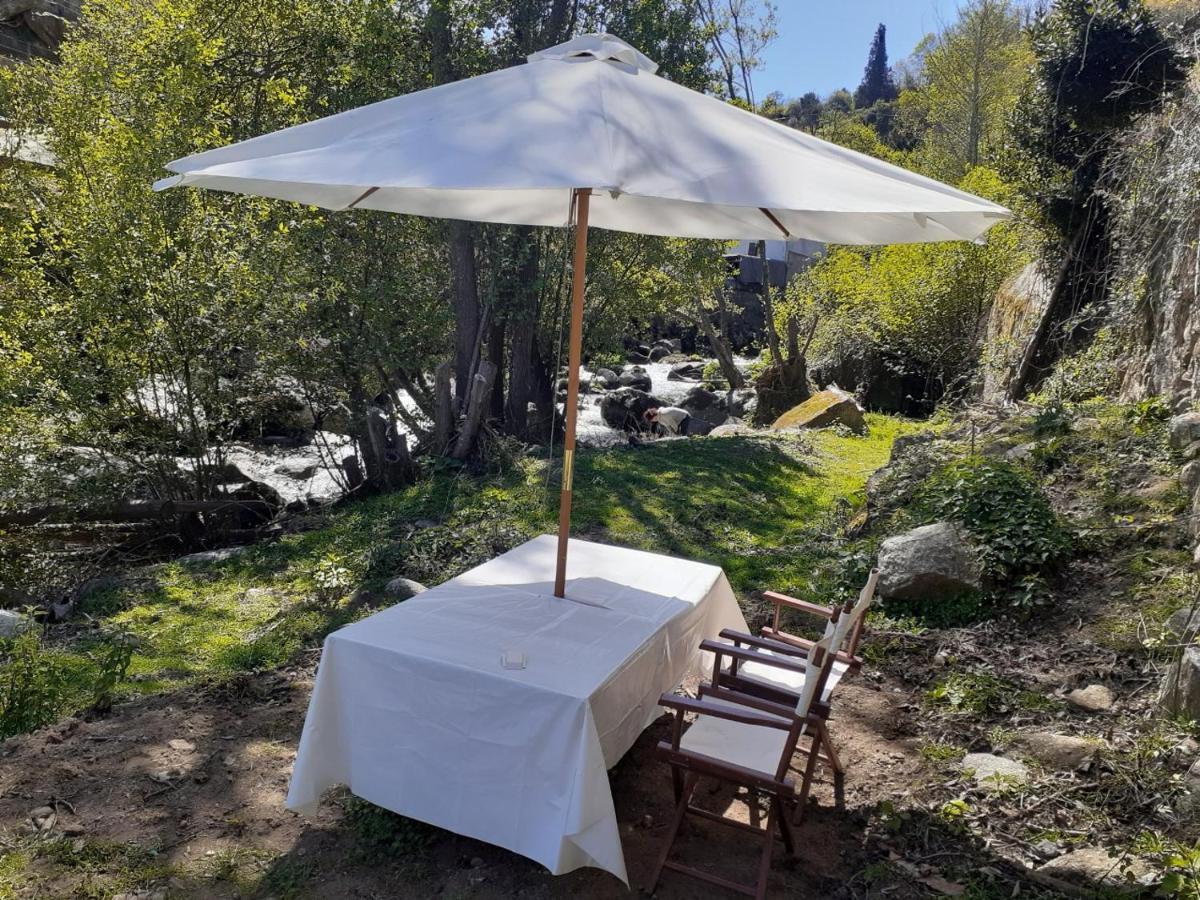 Quinta Dos Carvalhos The Wine House Farm In Center Of Lamego - Capital Of The Douro Villa ภายนอก รูปภาพ
