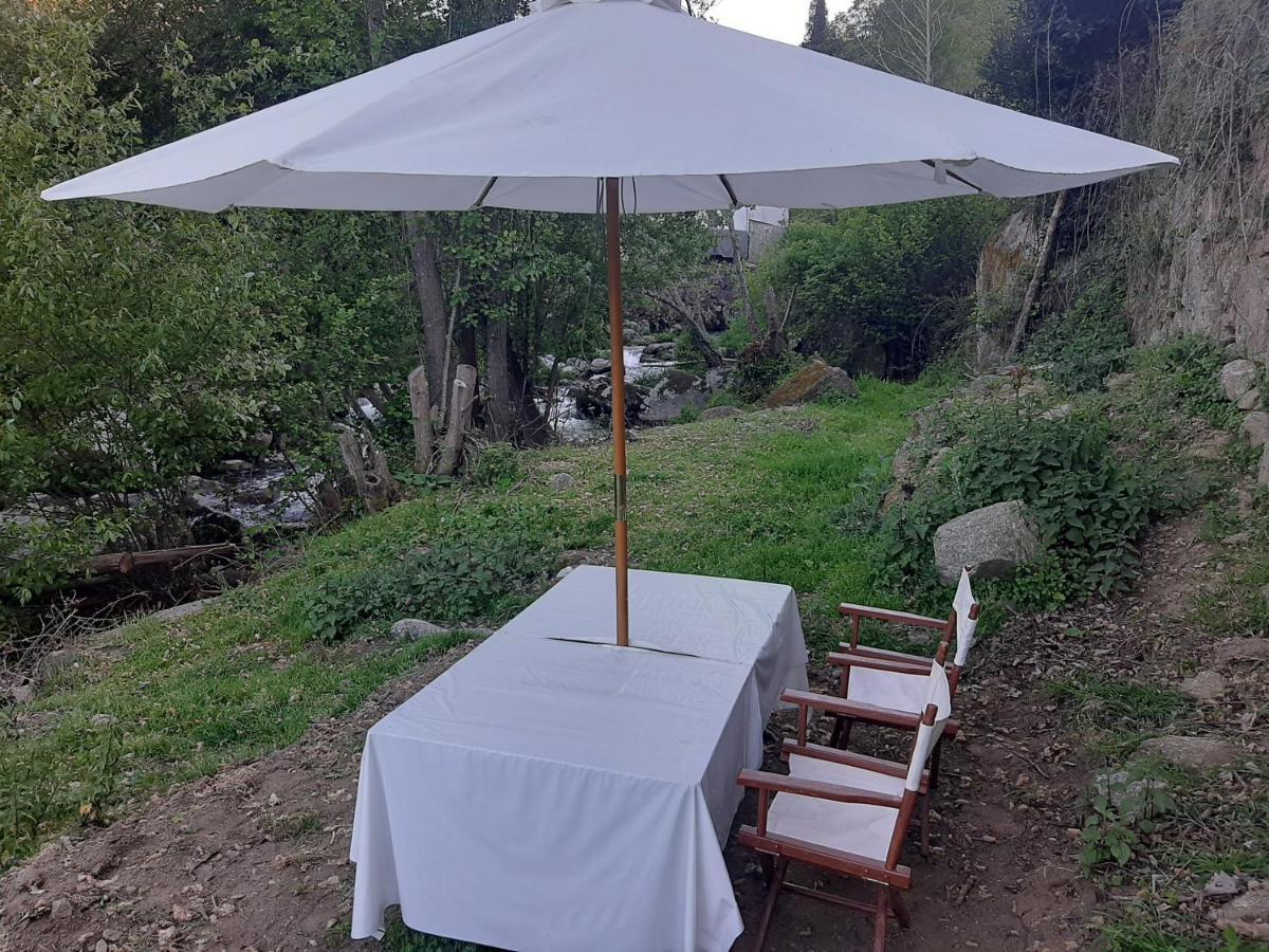 Quinta Dos Carvalhos The Wine House Farm In Center Of Lamego - Capital Of The Douro Villa ภายนอก รูปภาพ